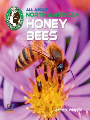 cover image of All About North American Honey Bees